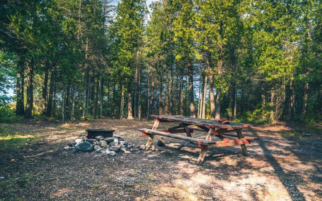 How to Comfortably Camp on a Budget (Under $100/£80)