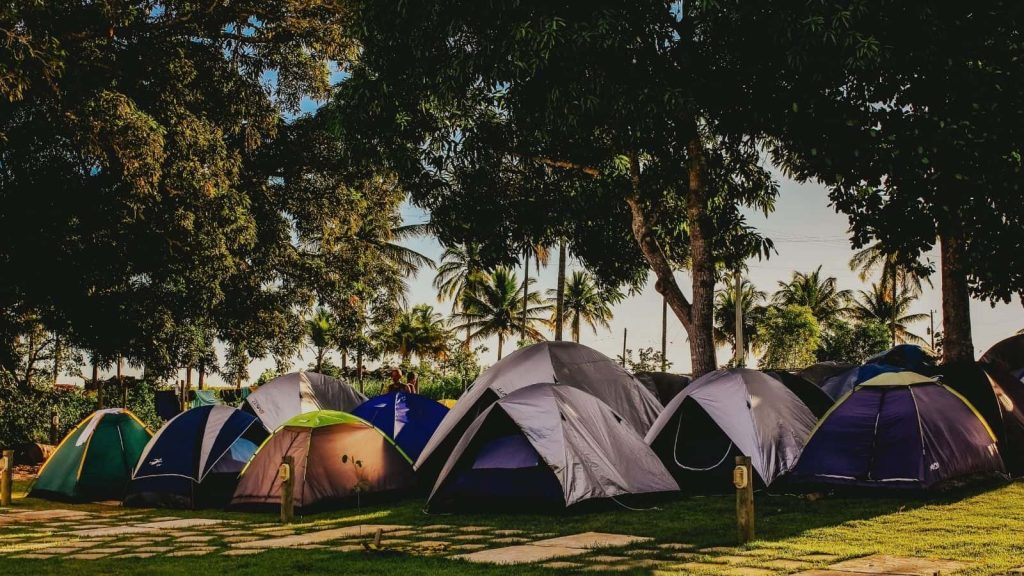 A row of pitched tents set up beneath tall trees in a managed campsite - illustrating responsible campsite selection, shared outdoor spaces, and low-impact camping within designated areas.