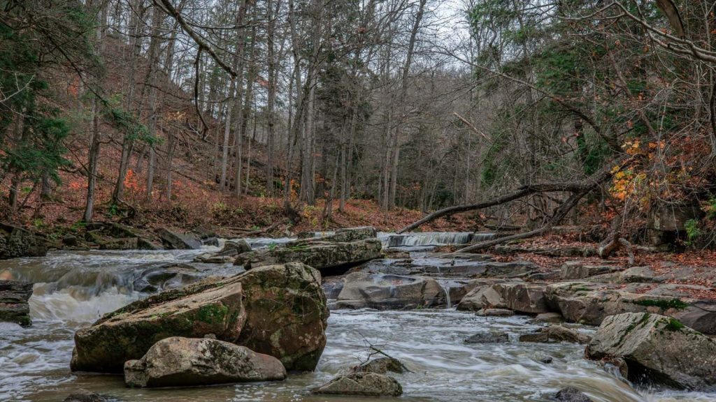 Forest stream flowing over rocks in a natural woodland setting - illustrating responsible water use and hygiene while camping, including sourcing water carefully and avoiding contamination of rivers and streams.