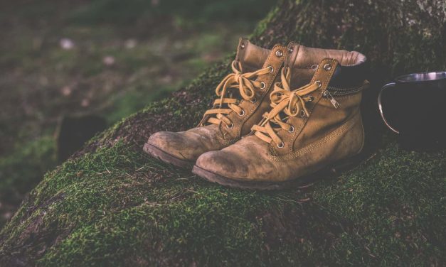 Hiking Boots vs Trail Runners | Which Is Actually Better?