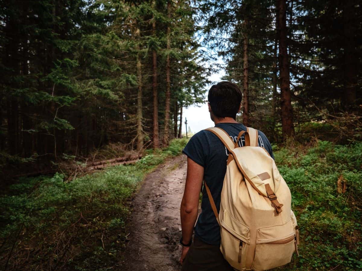 Hiker carrying a beige backpack along a narrow forest trail, illustrating how to organise and pack a day hiking backpack with the essentials needed for a comfortable walk.