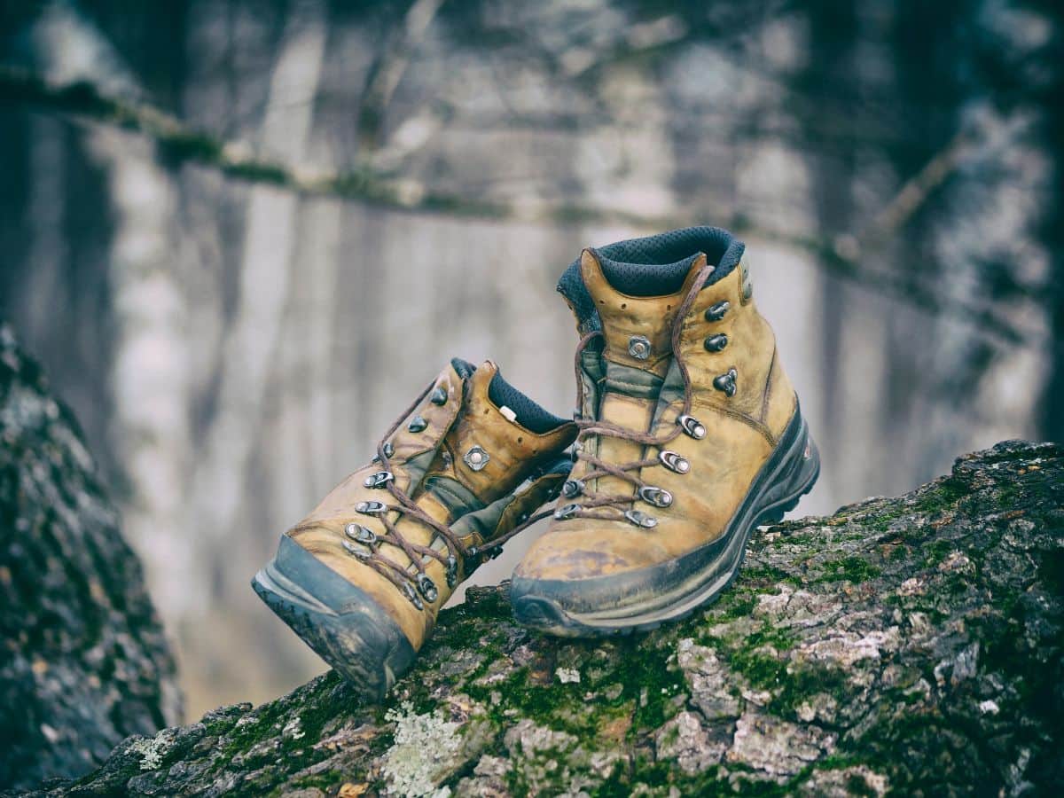 Well-worn hiking boots resting on a moss-covered tree trunk, illustrating how properly broken-in footwear should look and feel before a long hike.