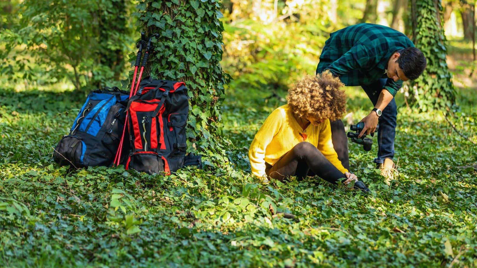 Two hikers pause in a forest beside large backpacks and trekking poles, illustrating how gear choice and packing strategy can make hiking with lower back pain more manageable.