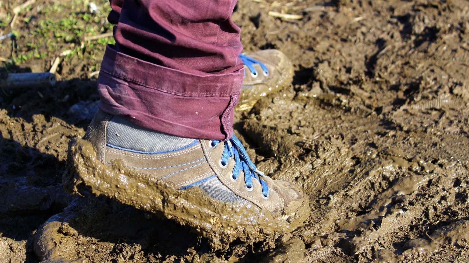 Close-up of a hiking boot sinking into thick mud, illustrating suction-breaking footwork techniques for a hike through deep mud without getting your boots stuck.